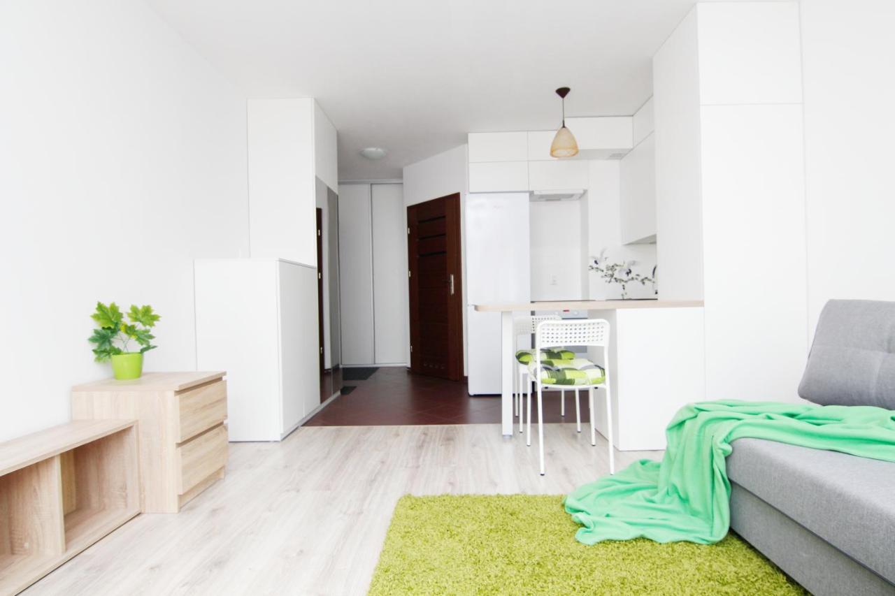 Blue River - Klimasa - Taras - Private Apartment Вроцлав Екстер'єр фото